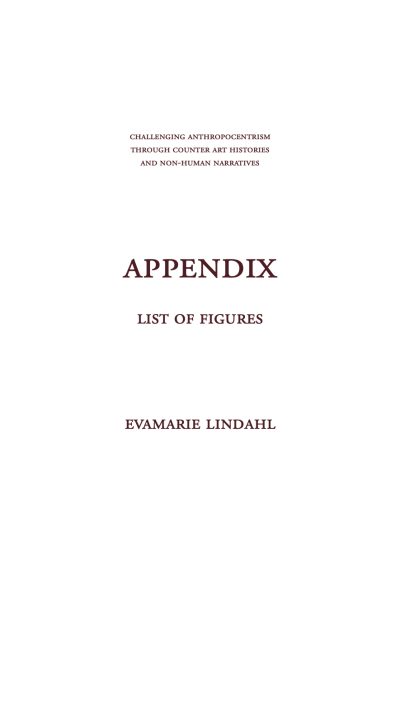 Omslag Appendix List of Figures
